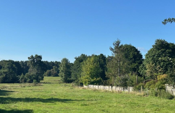 Land for sale in Hevingham photo